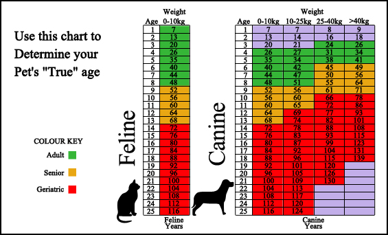 My Family's Pet Doctor - Surveillance Screening